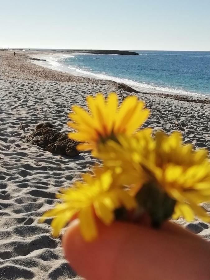 Sardinia For You أوريستانو المظهر الخارجي الصورة